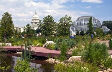 Garden view